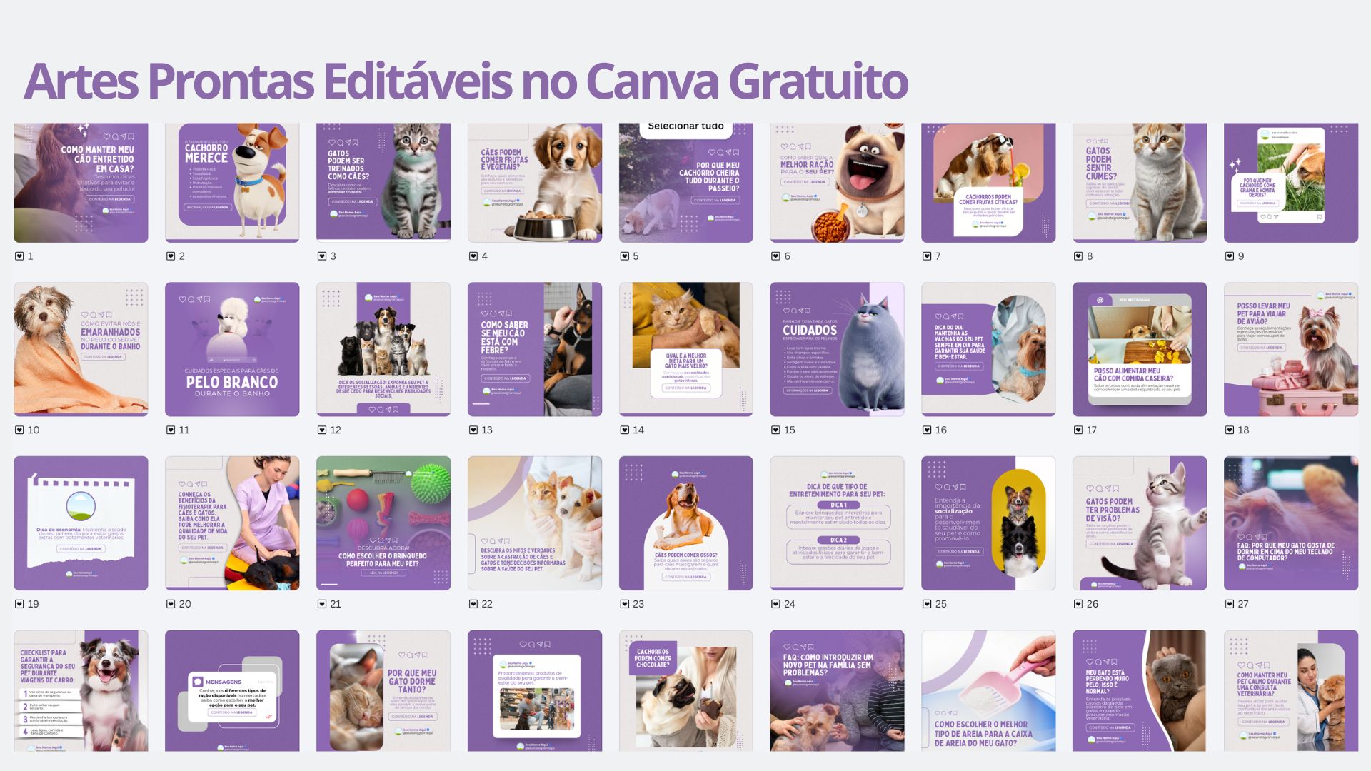 Templates Canva Gratuitos para Petshop