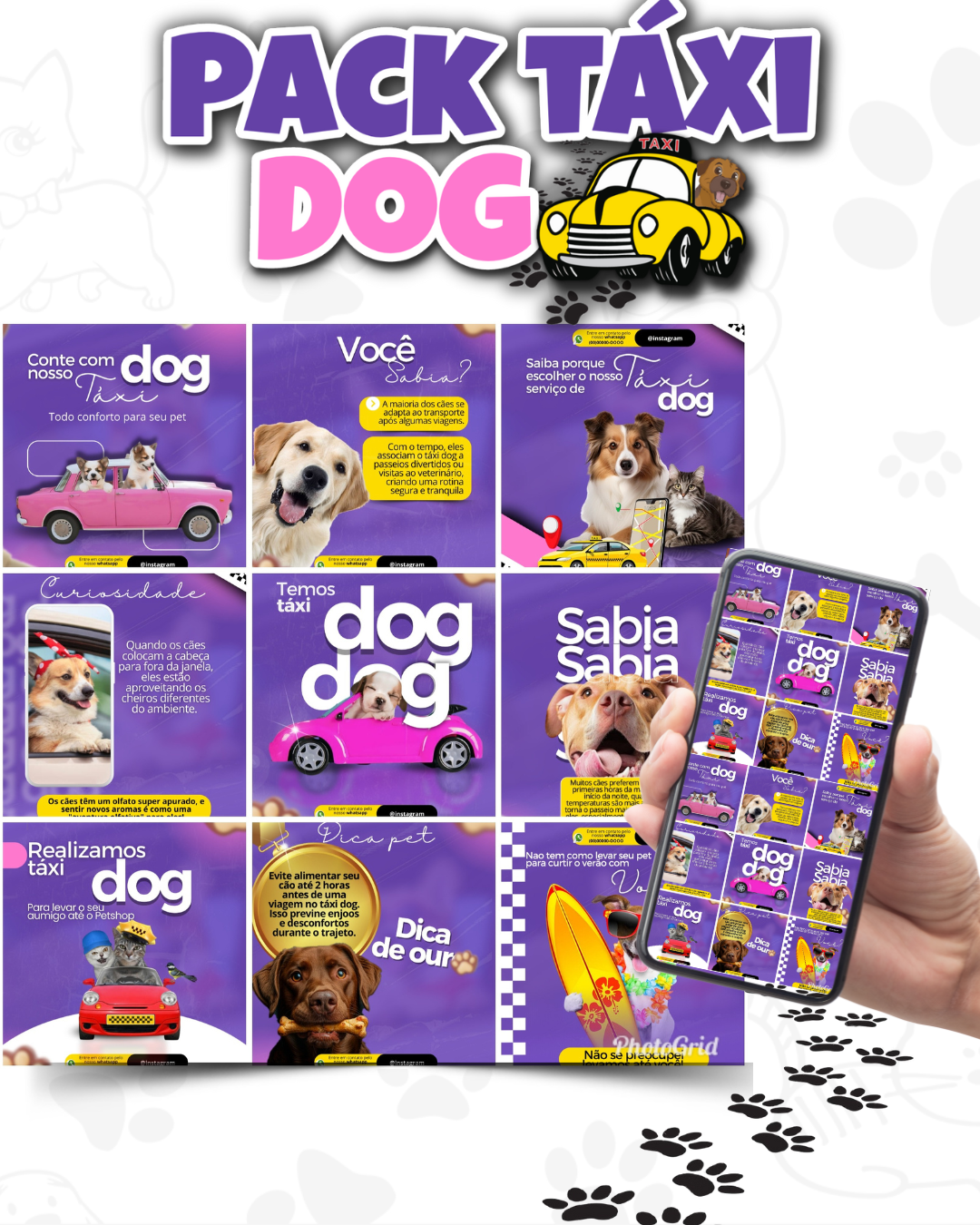 Pack no Canva Grátis para Homeopatia Veterinária