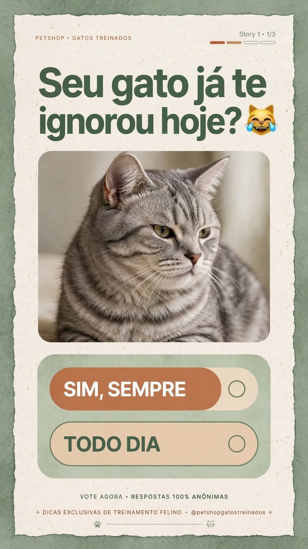 Artes em Posts e Stories para Instagram de PetShop - www.bart.art.br-011