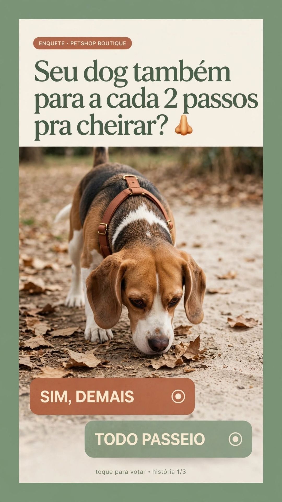 Artes em Posts e Stories para Instagram de PetShop - www.bart.art.br-013