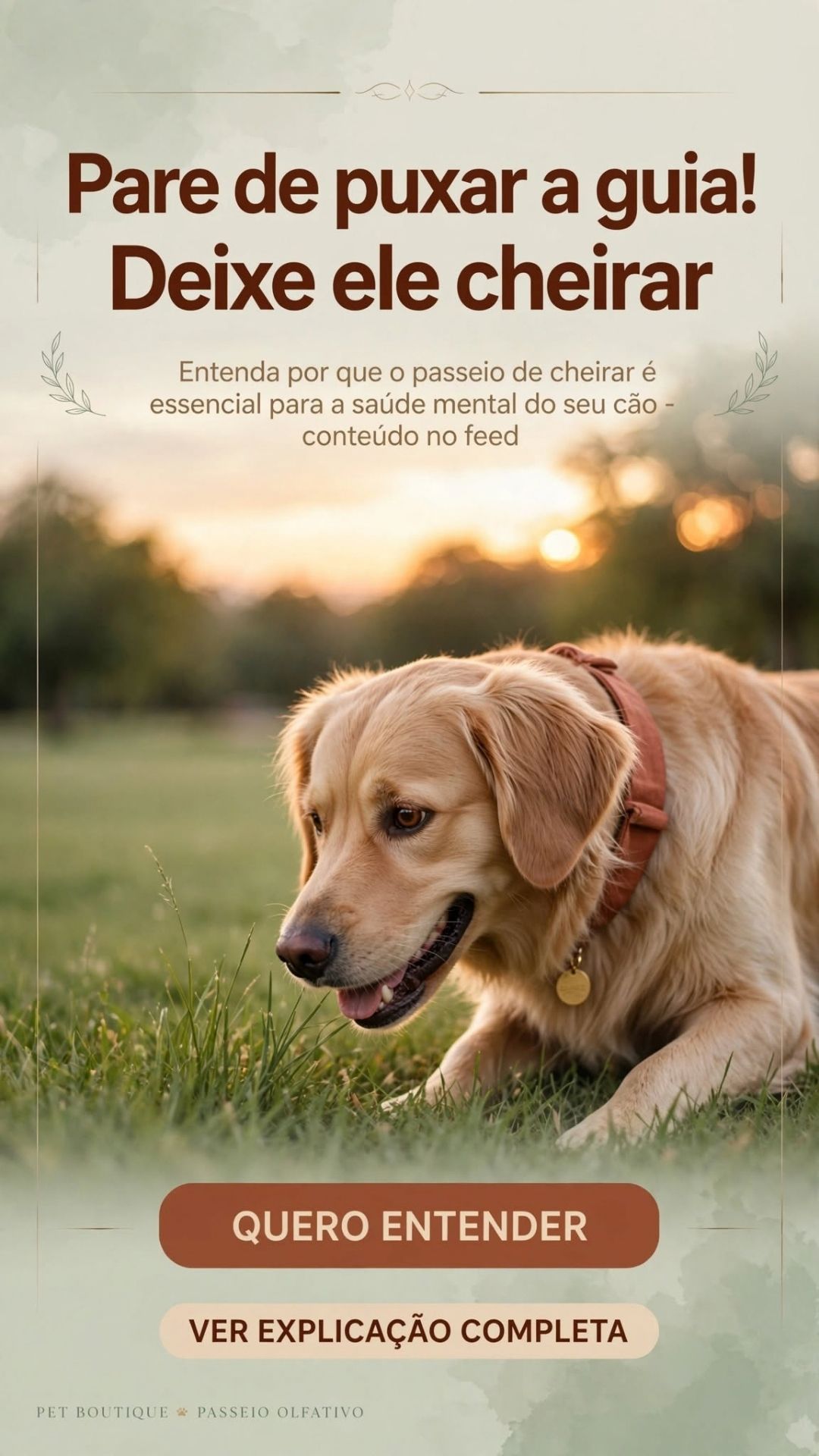 Artes em Posts e Stories para Instagram de PetShop - www.bart.art.br-014